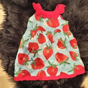 Gymboree Burst of Spring Strawberry Dress